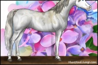 Horse Color:White Spotted Liver Red Dun Ice Pearl Splash Rabicano 