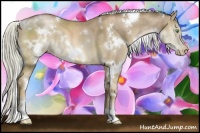 Horse Color:White Spotted Liver Chestnut Pearl Sabino