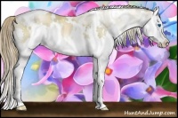 Horse Color:White Spotted Liver Red Dun Pearl Splash Rabicano