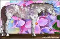 Horse Color:White Spotted Liver Chestnut Ice Sabino Splash 