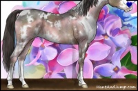 Horse Color:White Spotted Liver Chestnut Ice Sabino 