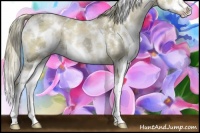 Horse Color:White Spotted Liver Chestnut Ice Pearl Sabino Splash