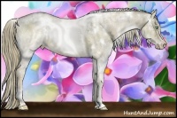 Horse Color:White Spotted Liver Red Dun Ice Pearl Sabino