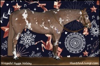 Horse Color:White Spotted Liver Chestnut Sabino 