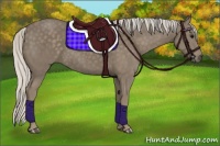 Horse Color:Silver Smoky Black 