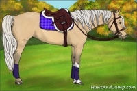 Horse Color:Silver Buckskin 