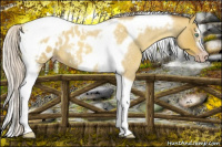 Horse Color:Gray Silver Amber Cream Champagne Roan Dun Splash Tobiano Frame Appaloosa Rabicano 