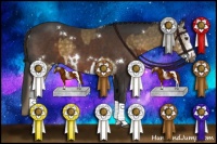 Horse Color:White Spotted Chocolate Palomino Sabino  and White Spotted Liver Chestnut 