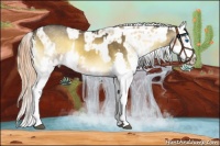 Horse Color:Buckskin Onyx Splash  and Sable Cream Champagne Onyx Splash Near Leopard 