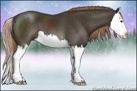 Horse Color:Liver Chestnut Sabino Splash