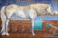 Horse Color:Silver Classic Champagne Dun Splash Frame 