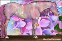 Horse Color:Nacre White Spotted Buckskin Pearl Dun Sabino Rabicano