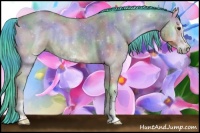 Horse Color:Nacre Watercolor Bay Onyx Sabino Rabicano 