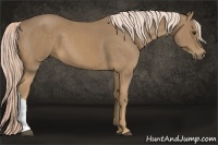 Horse Color:Palomino 