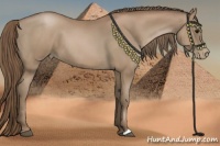 Horse Color:Black Pearl 