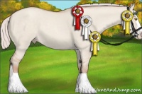 Horse Color:Silver Classic Champagne Dun Splash 
