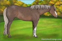 Horse Color:Silver Black 