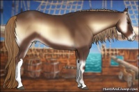 Horse Color:Red Onyx 