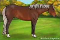 Horse Color:Silver Brown 