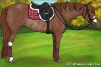 Horse Color:Chestnut Rabicano 