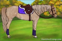 Horse Color:Palomino Roan 