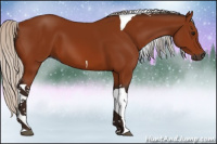 Horse Color:Gray Silver Bay Tobiano 