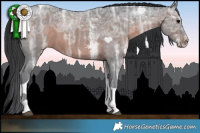 Horse Color:Brown Ice Sabino Tobiano