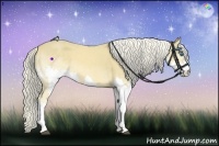 Horse Color:Palomino Splash 