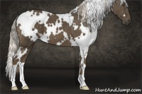 Horse Color:White Spotted Chocolate Palomino