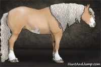 Horse Color:Silver Brown Pearl Sabino