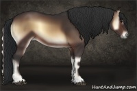 Horse Color:Brown Onyx