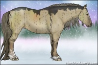 Horse Color:Liver Red Dun Sabino 