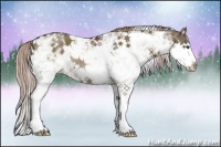 Horse Color:Liver Red Dun Sabino Splash Rabicano