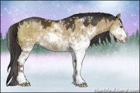 Horse Color:Liver Red Dun Sabino 