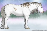 Horse Color:Liver Red Dun Sabino Splash Rabicano