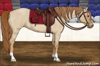 Horse Color:Red Dun Roan 