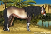 Horse Color:Buckskin Onyx