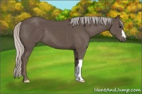 Horse Color:Silver Black 