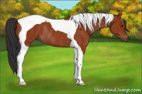 Horse Color:Bay Tobiano Rabicano