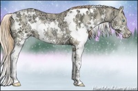 Horse Color:White Spotted Chocolate Buckskin Ice Pearl Dun Splash 