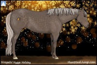 Horse Color:Silver Black