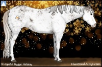 Horse Color:Silver Black Sabino