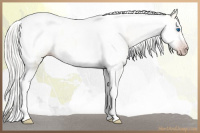 Horse Color:Gray Silver Amber Cream Champagne Roan Dun Splash Tobiano Frame Appaloosa Rabicano