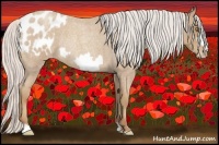 Horse Color:Silver Classic Champagne Roan Frame Appaloosa Rabicano 