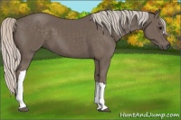Horse Color:Silver Black 