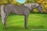 Horse Color:Silver Black 