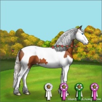 Horse Color:Silver Brown Roan Splash Tobiano 