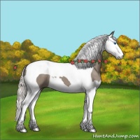 Horse Color:Silver Grullo Roan Splash Tobiano 