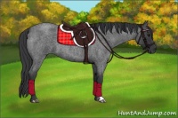 Horse Color:Blue Roan 