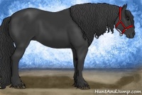 Horse Color:Black Frame Rabicano